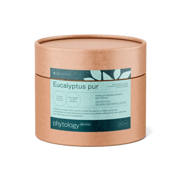 Eucalyptus pur pour Chevaux